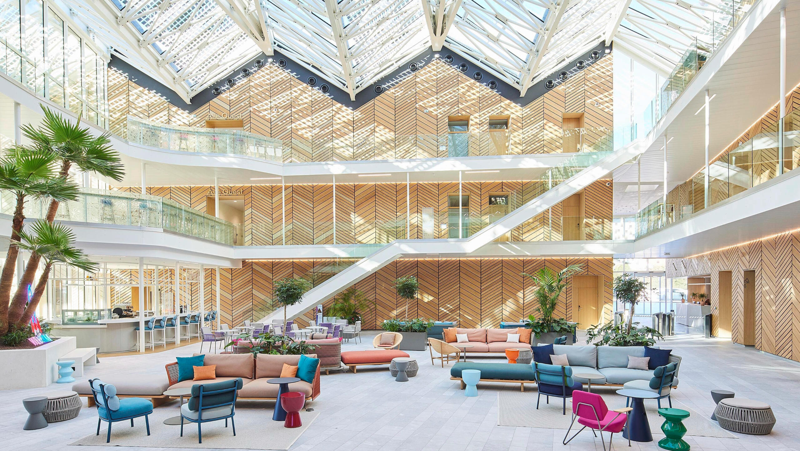 Allen Bargfrede, Advisor, Lawyer, Professor